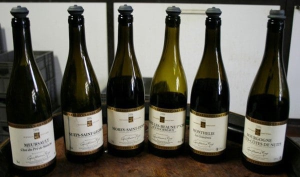 Guillaume Roy wine lineup