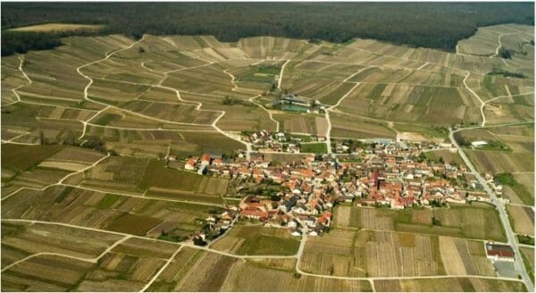 What is Champagne? And what makes it different from Sparkling wine?