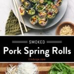 Pulled Pork Spring Rolls