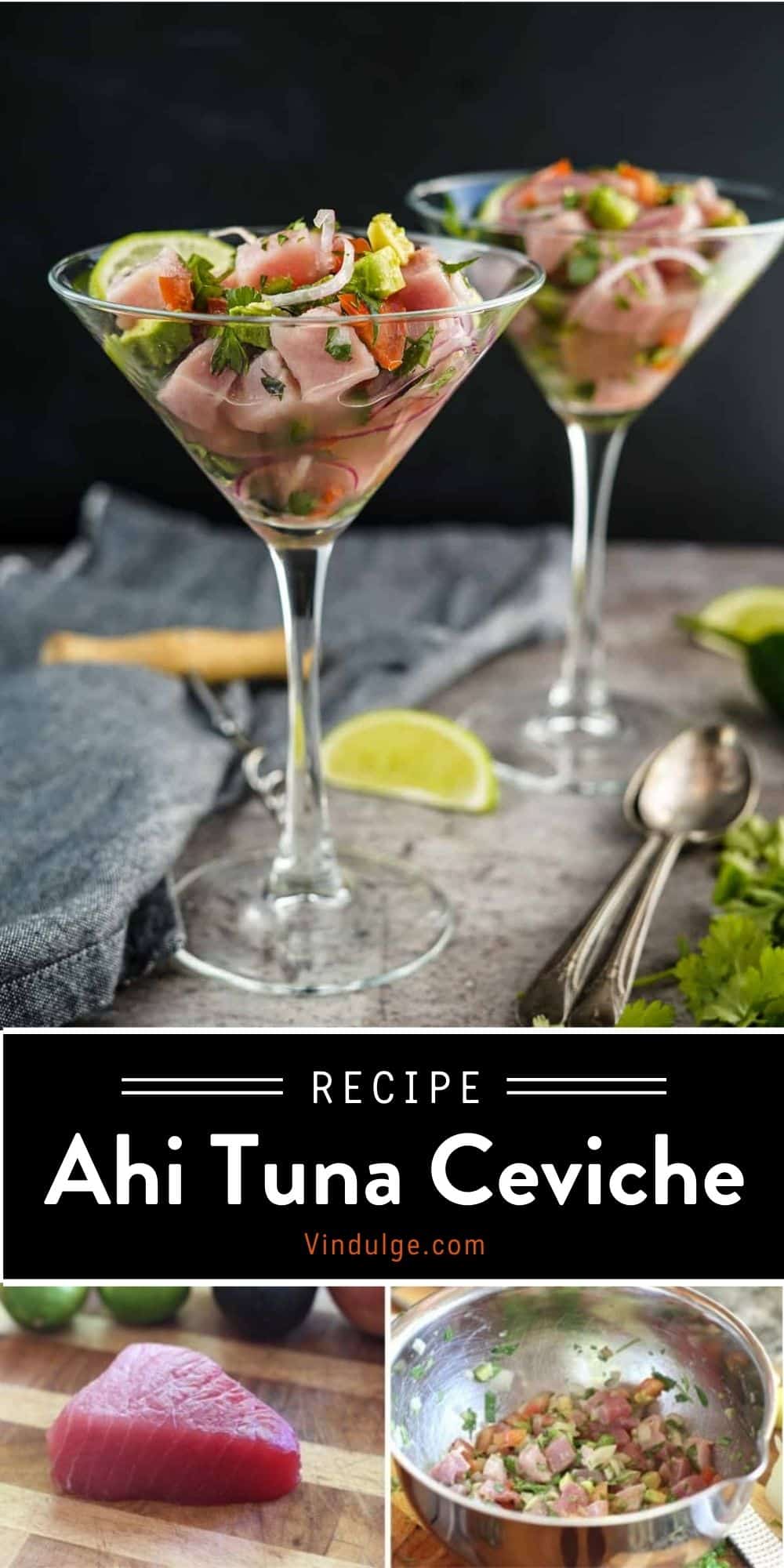 Ahi Tuna Ceviche and Wines to Pair Vindulge