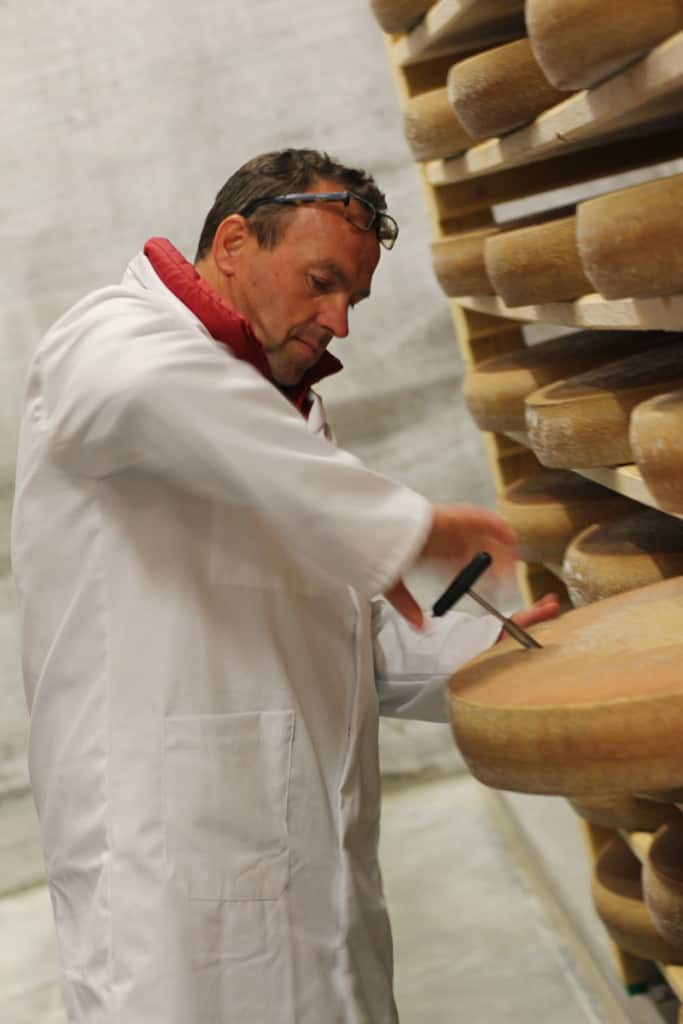 An affineur testing Comté cheese 