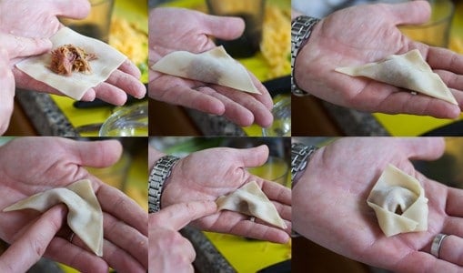 Step by step pictures of How to 
Wrap a Wonton