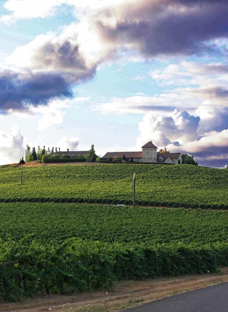 King Estate Winery sunset from hill