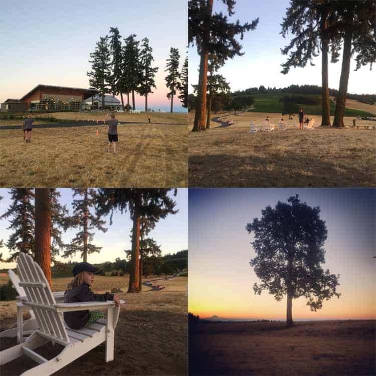 Oregon Wine Country Half Marathon -- sunrise over Stoller Family Estate