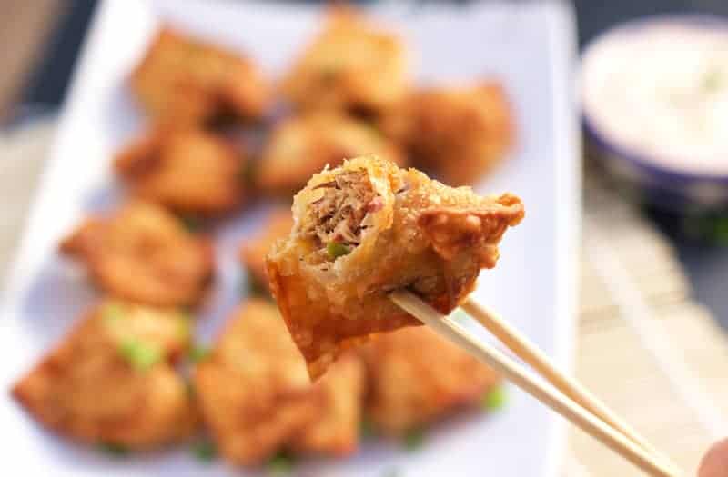 Smoked Pulled Pork Fried Wonton