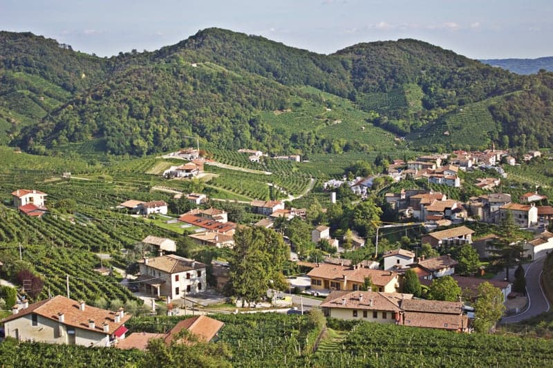 The hills in the Conegliano and Valdobbiadene region of Veneto