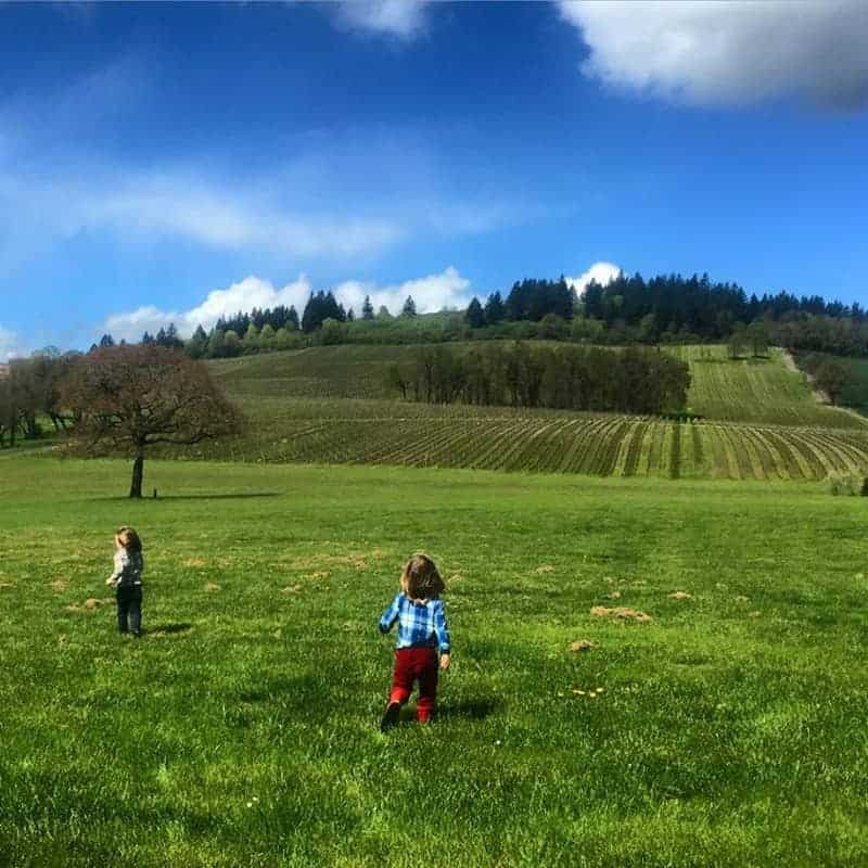 Froliking-in-the-Vineyards