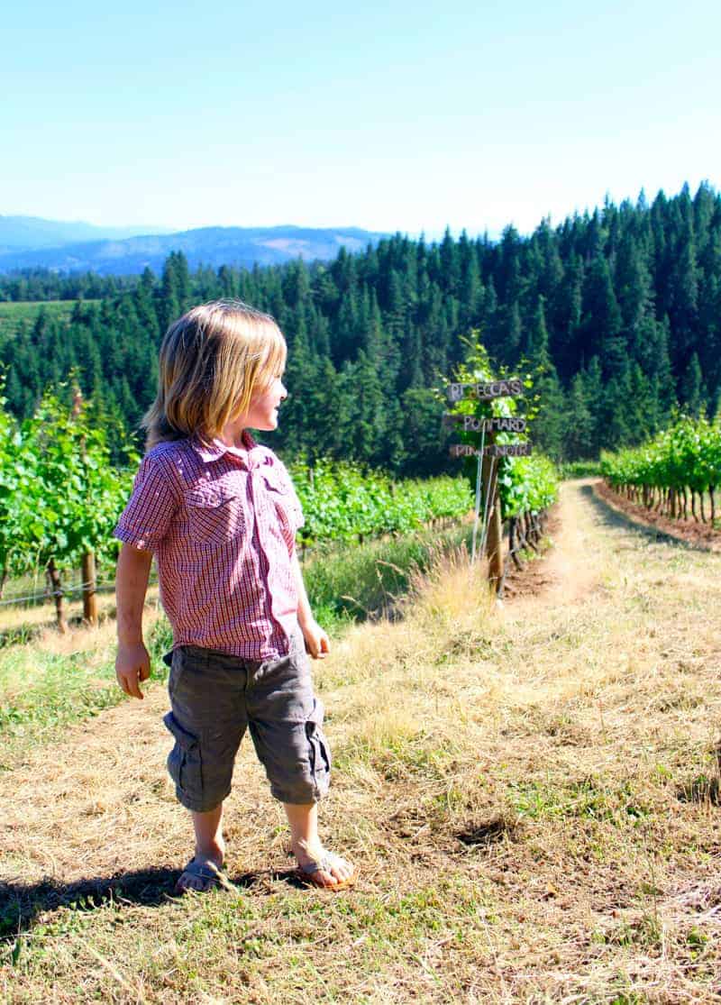 Future Vineyard Manager in Training? Or just appreciating a sunny day in the vineyard? 