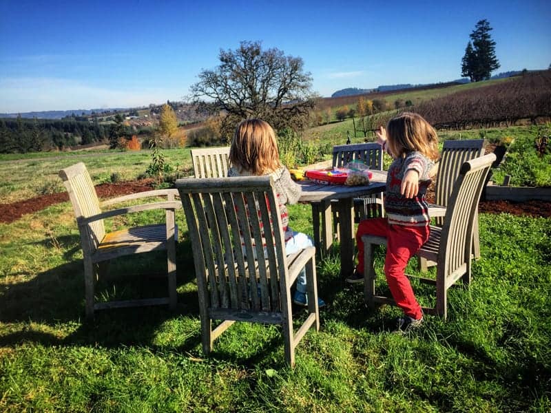 Lunch-in-the-vineyard-with-kids