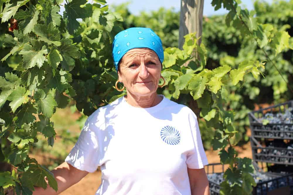 Womens-Harvest-in-Puglia