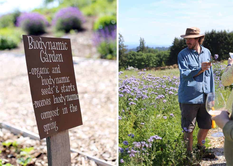 Biodynamic Garden Tour at Brooks Vineyard