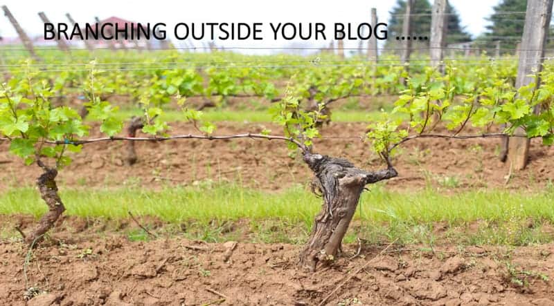 Branching Outside Your Blog to Increase Engagement and Audience
