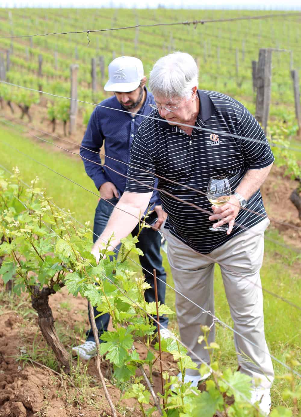 Brooks Estate Vineyard Tour