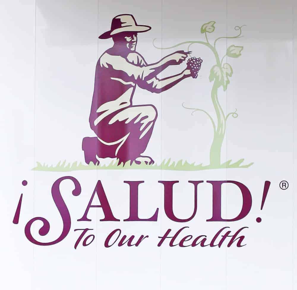 ¡Salud! Logo