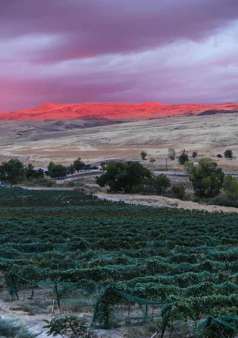 Sunset at 3 Horse Ranch Vineyard, Idaho Wine Country