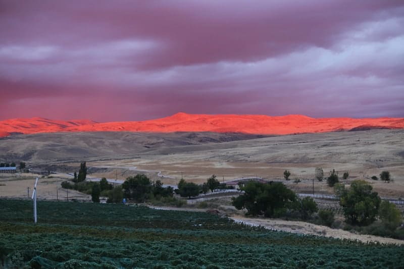 Sunset at 3 Horse Ranch Vineyard, Idaho Wine Country