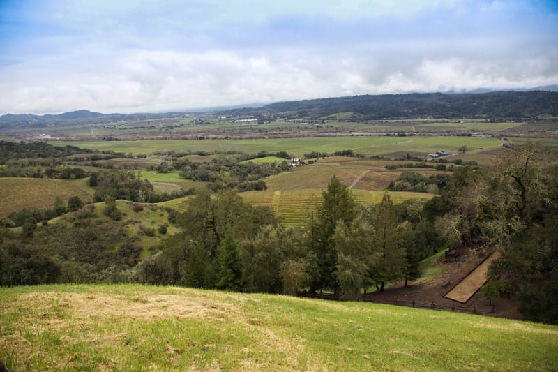 Rodney Strong Vineyard Tour