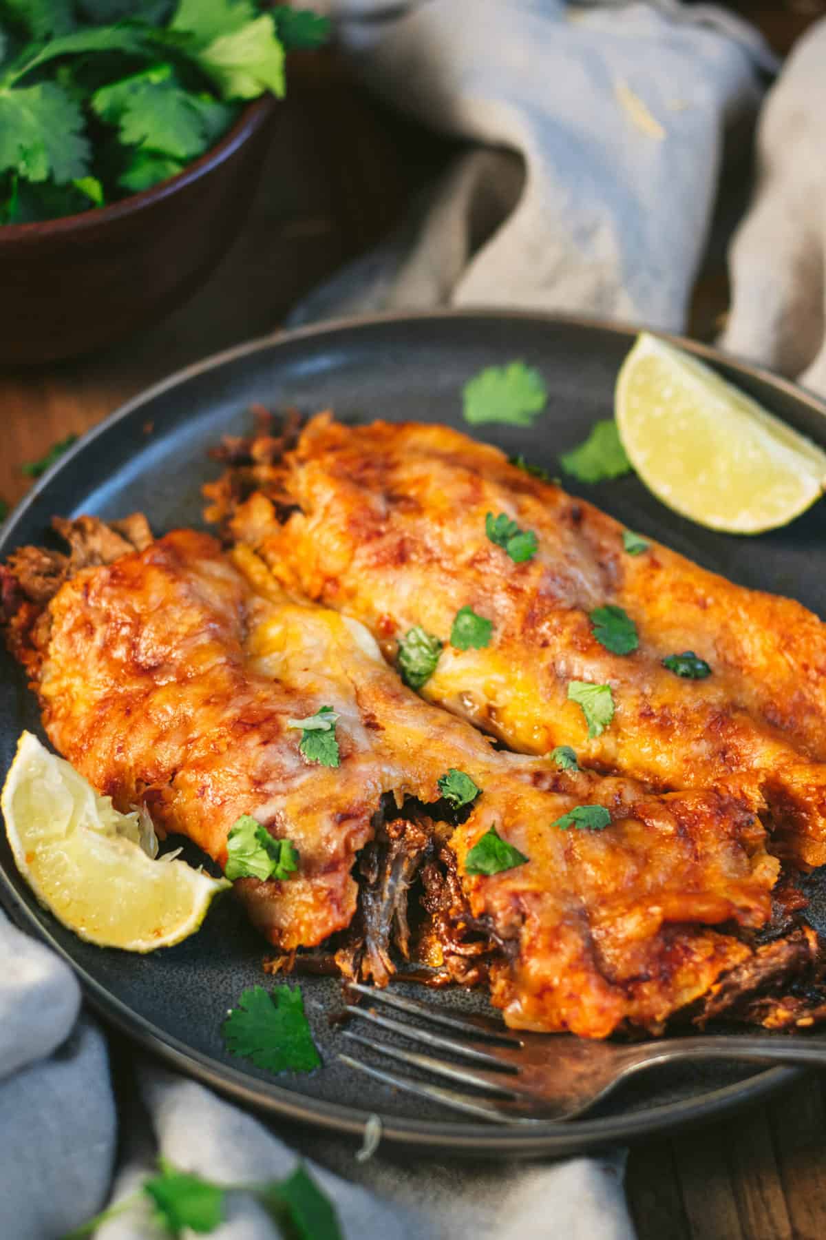 close up of pulled pork enchiladas