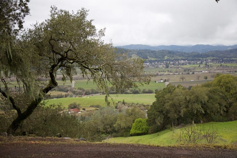 Vineyard View at Rodney Strong