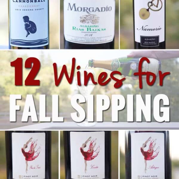 12 Wines for Fall Sipping, wine recommendations for this gorgeous fall season.
