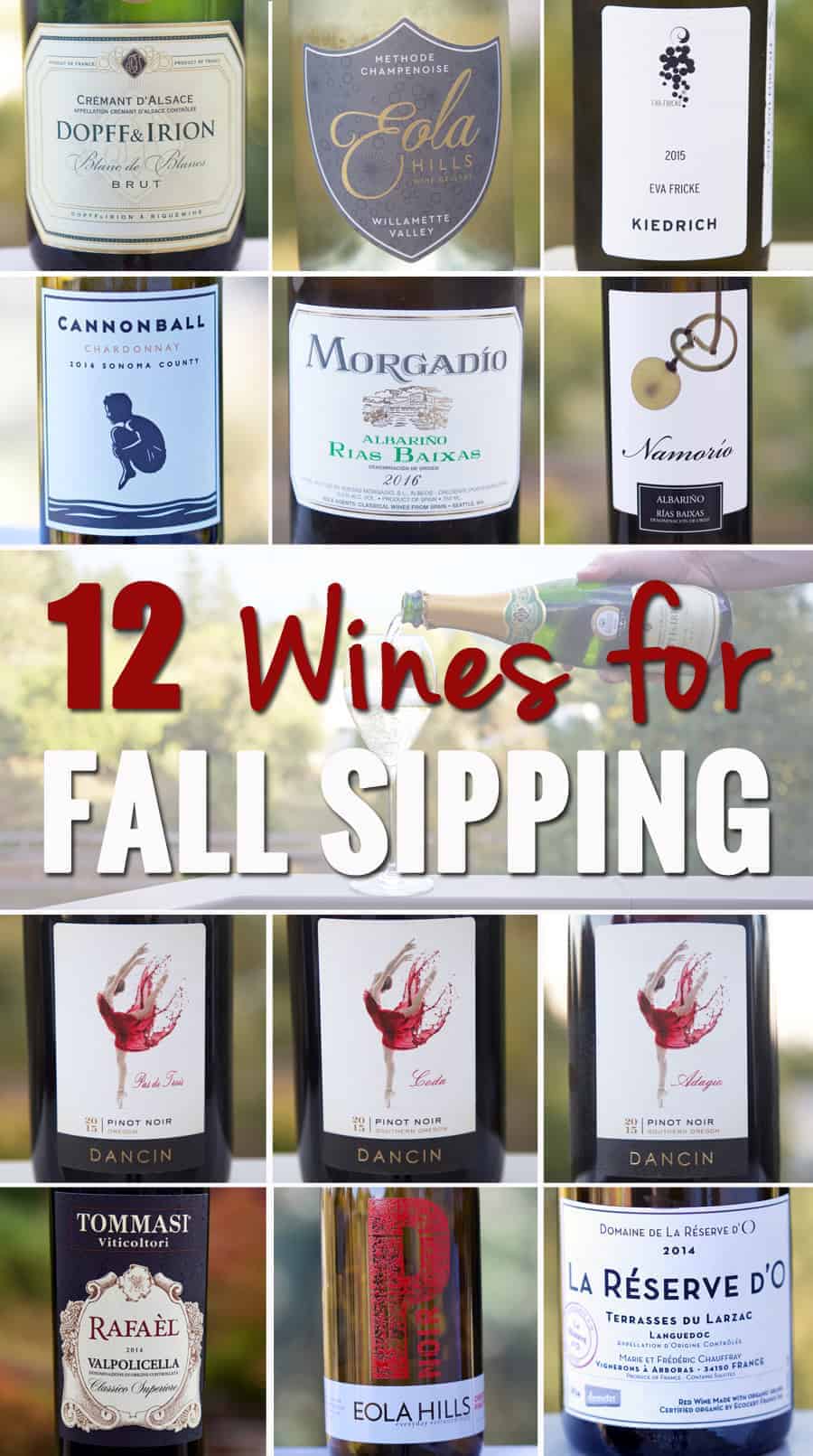 12 Wines for Fall Sipping, wine recommendations for this gorgeous fall season. 