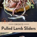 Pulled Lamb Sliders Pin