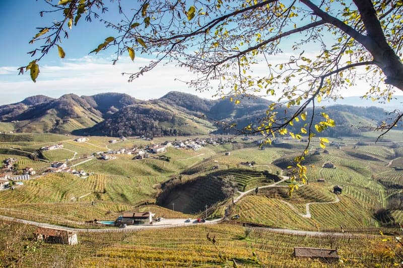 Vineyards in Conegliano Valdobbiadene in the Veneto wine region of Italy
