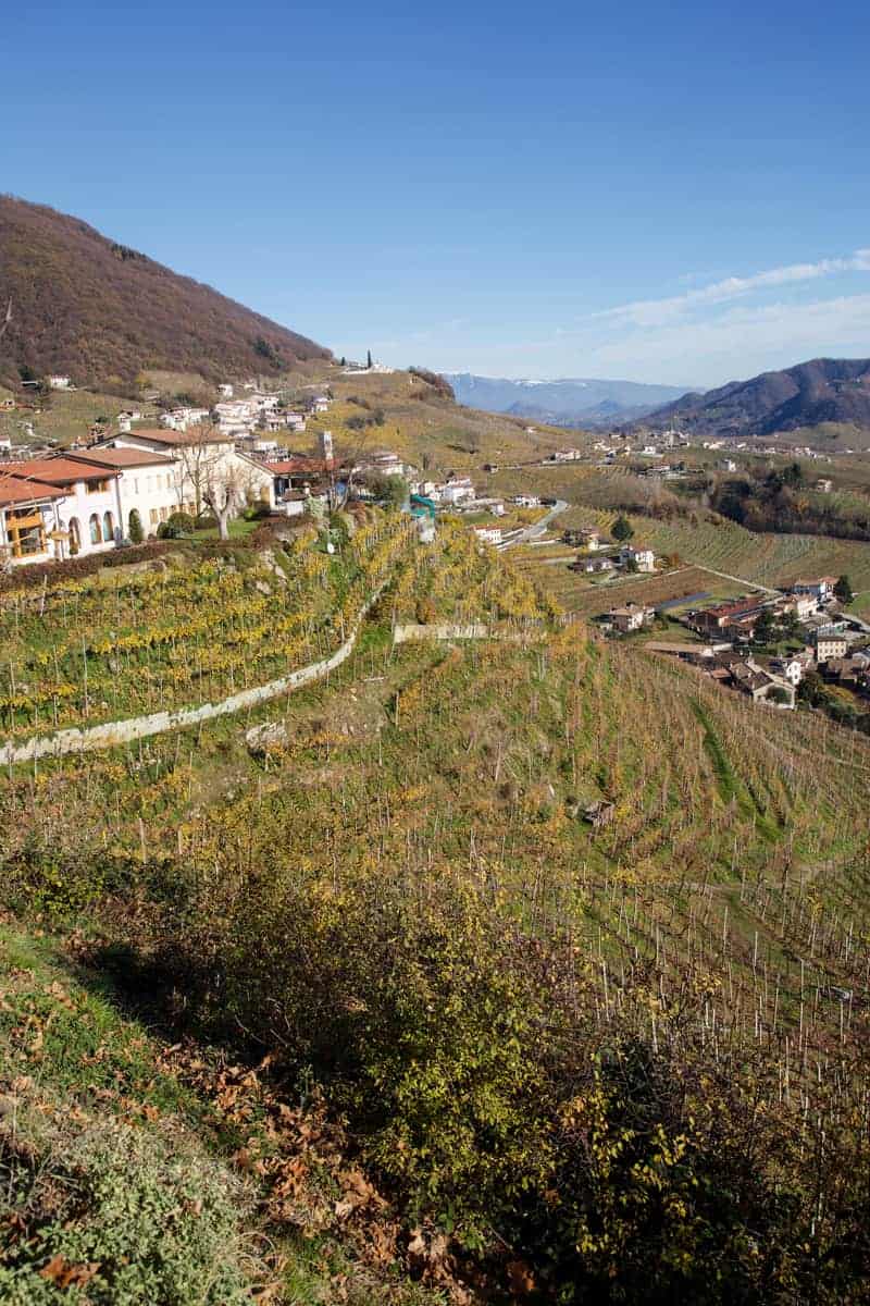 Vineyards in Conegliano Valdobbiadene in the Veneto wine region of Italy