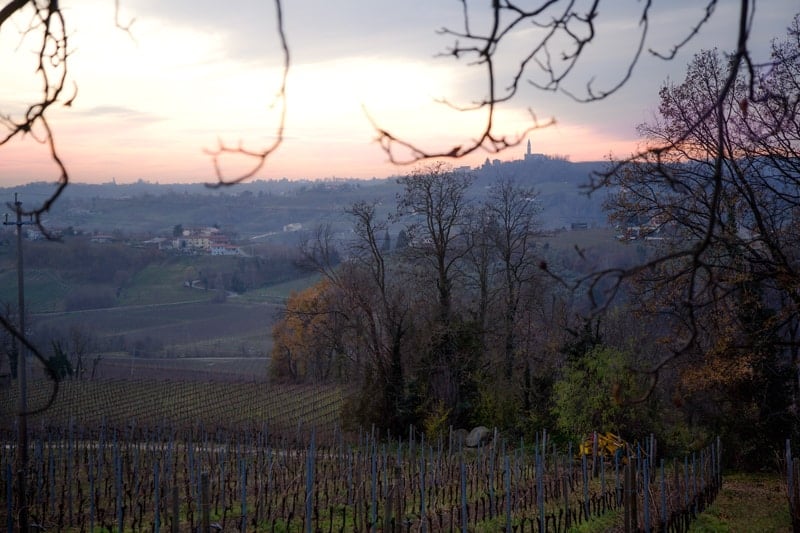 Vineyards in Conegliano Valdobbiadene in the Veneto wine region of Italy