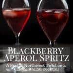 Blackberry Aperol Spritz Pinterest Image