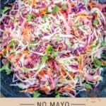 Allergen Free Coleslaw