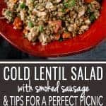 Cold Lentil Salad and tips for a perfect picnic