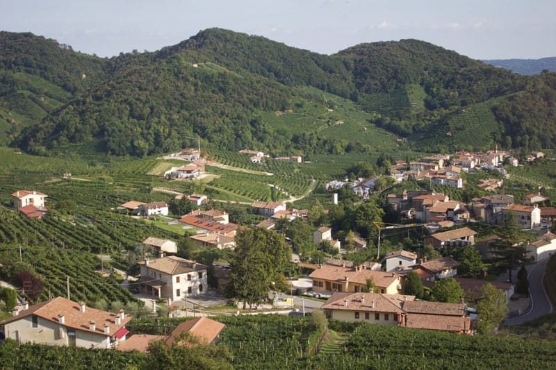 A view of the Prosecco growing region in Italy