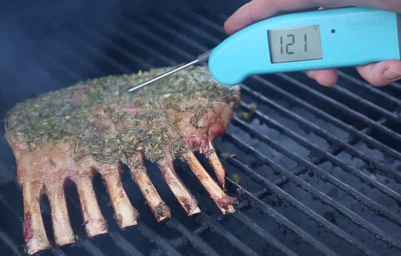 Taking the temperature of lamb chops with a digital thermometer