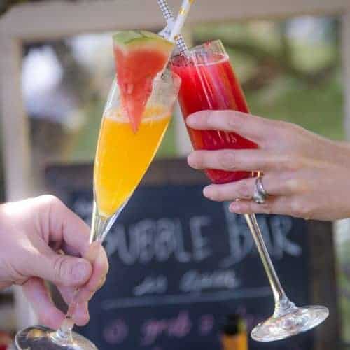 https://www.vindulge.com/wp-content/uploads/2018/09/Toasting-with-Mimosas-500x500.jpg