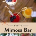 Mimosa Bar Pin