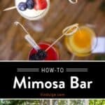 Mimosa Bar Pin