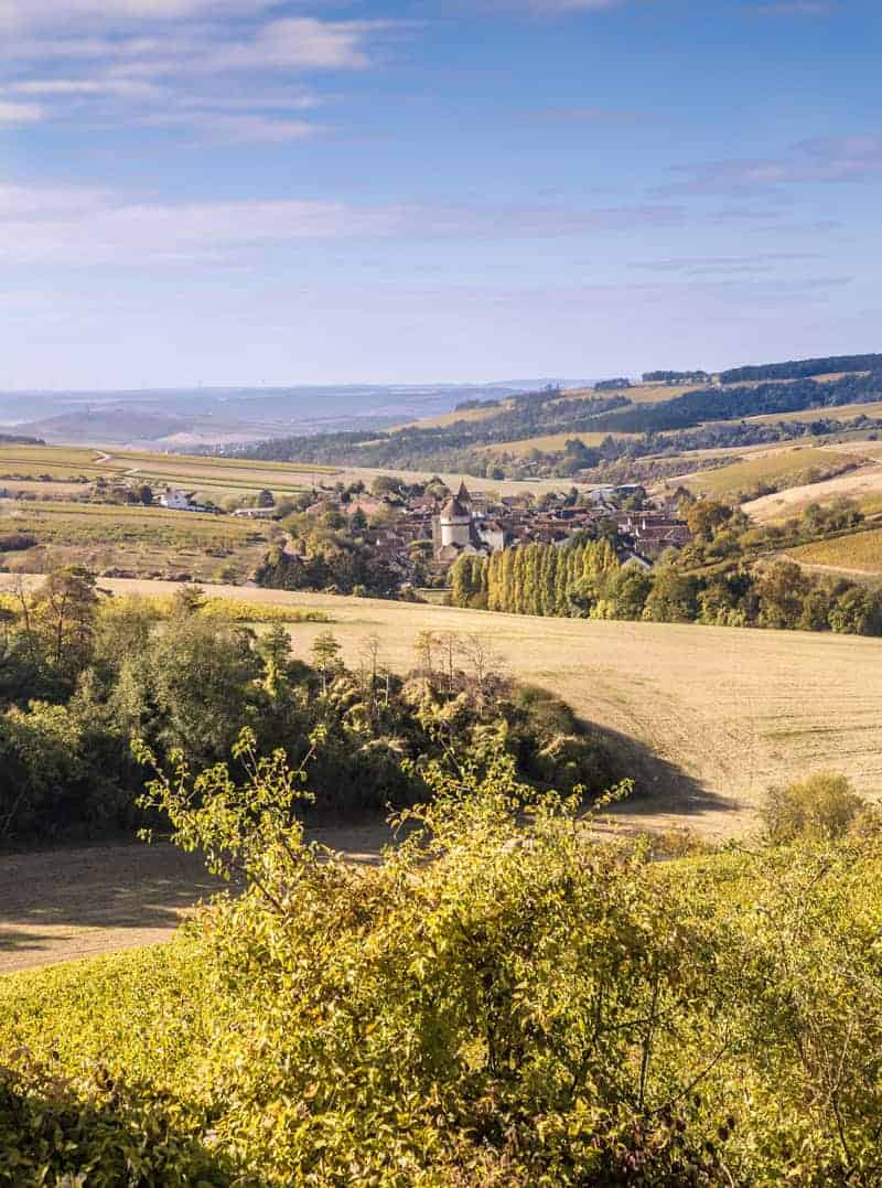 Vineyards in Burgundy