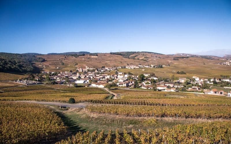 Vineyards near Pouilly-Fuissé