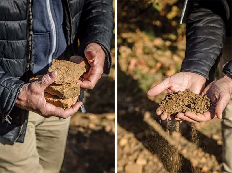 Soil samples in Burgundy France