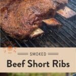 Smoked Beef Plate Ribs pin