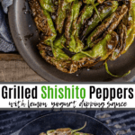 grilled shishito peppers pinterest image