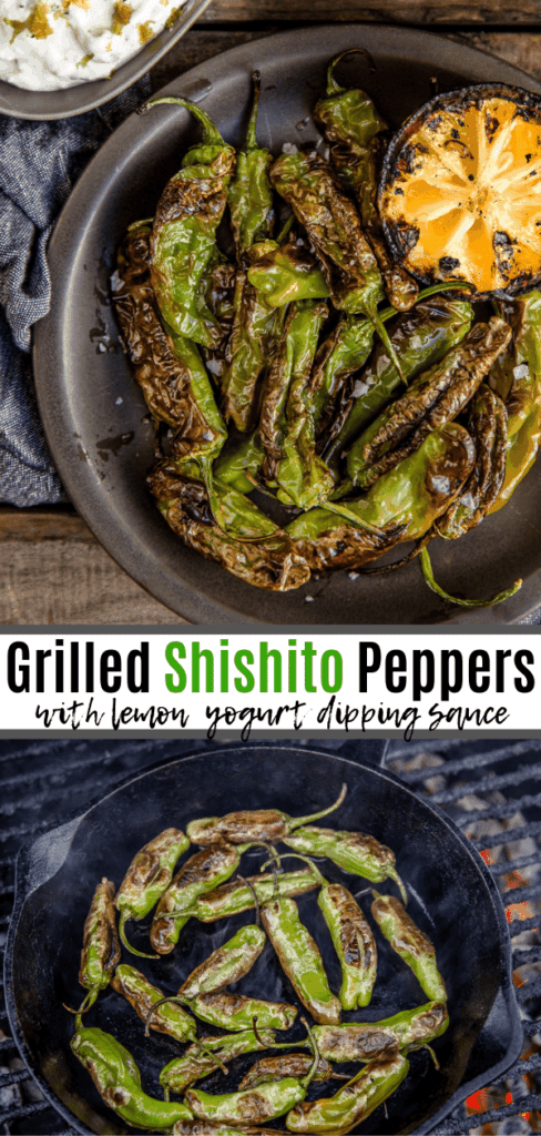 grilled shishito peppers pinterest image