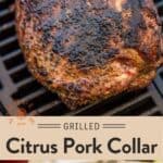 Pork Collar Pin