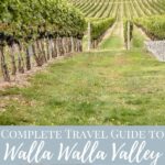 vineyard and wine glasses full of white wine with pinterest text - travel guide to walla walla valley