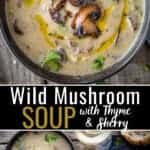 wild Mushroom Soup