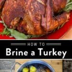 How to Brine a Turkey Pin