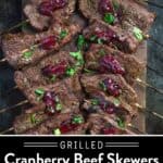 Cranberry Grilled Beef Skewers