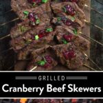 Cranberry Grilled Beef Skewers