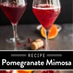 Pomegranate Mimosa Pin